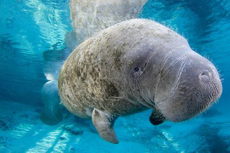 Robinson Preserve – Paradise for Nature Lovers