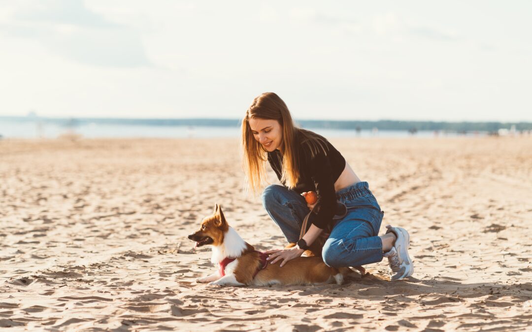 Pet-Friendly Beaches on Anna Maria Island