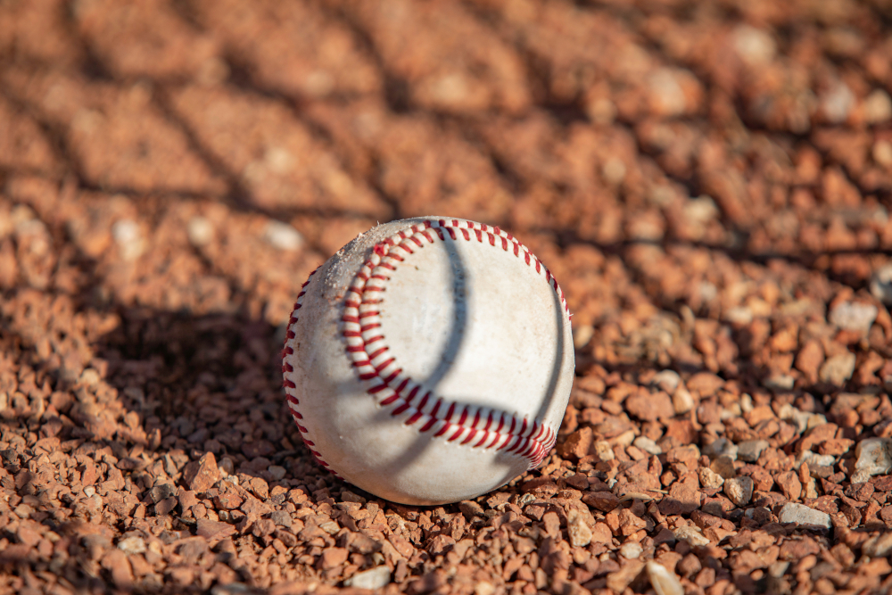 Spring Training Session in Sarasota & Bradenton